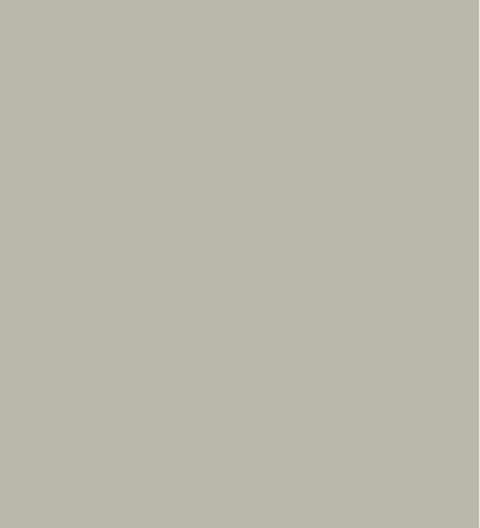105 - MYSORE IVORY