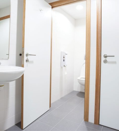 SAMRAT FLUSH DOOR